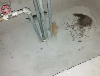 海盐卫生间测漏水价格明细