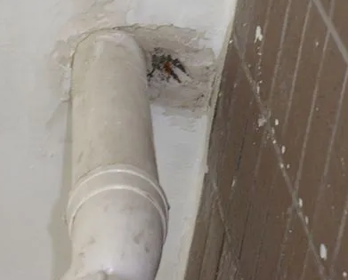 海盐漏水检测哪家好